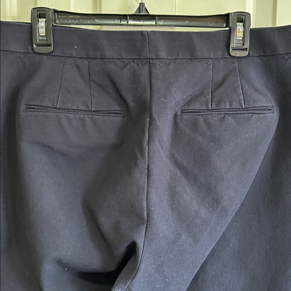 Ann Taylor Curvy Fit Cropped Navy Pants - Picture 3 of 8